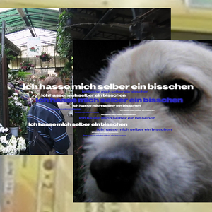 Ich hasse mich selber ein bisschen