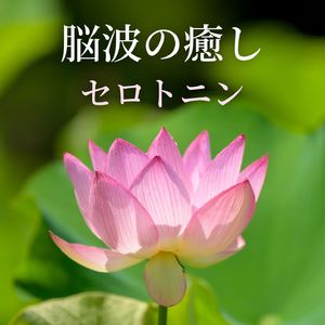 波動のバランス