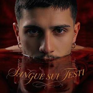Sangue Sui Testi