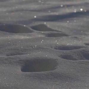 风来的时候（When the wind comes）