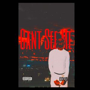 CANT SEE ME
