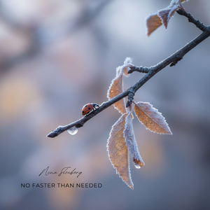 No Faster Than Needed