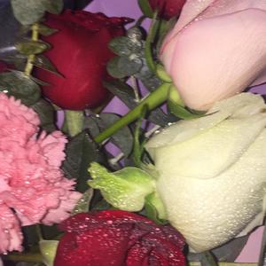 【FREE】“NO M3RCY” Drill Beat