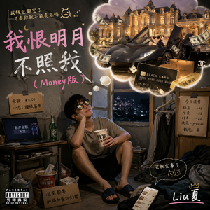 我恨明月不照我 （Money版）-Liu夏