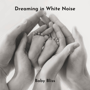 Baby's Sleepy Sanctuary