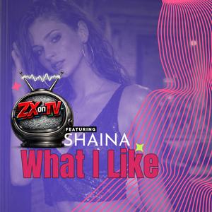 What I Like (feat. Shaina)