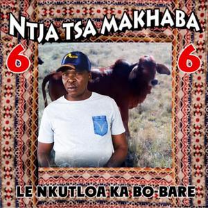 MMATLHAKELI