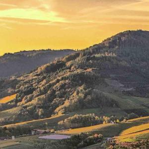 Jos Ranga Stop Violenta (feat. Katalin Talent)