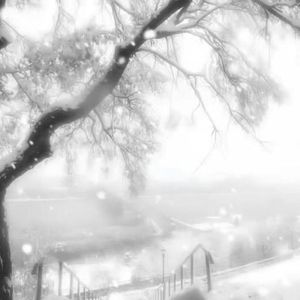 在冰冷的世界期待下一场雪.