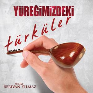 Bahçada Yeşil Çınar