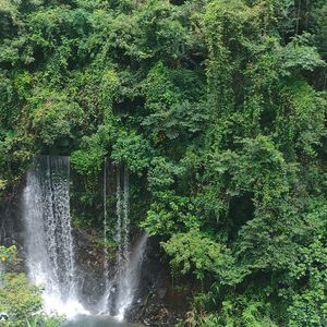 负重一万斤长大（Cover：太一）