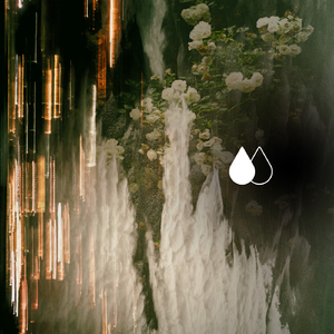 Bukowski's Word (Original)