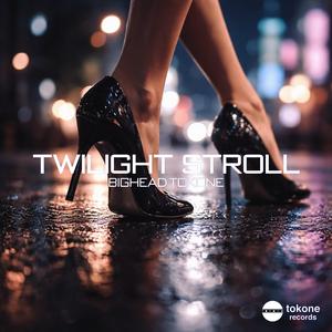 Twilight Stroll
