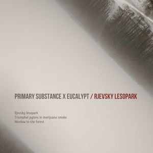 Window to the Forest