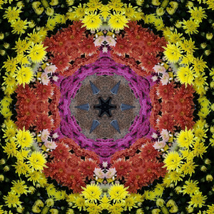 Our souls are lifted off the ground and taken on a journey grand