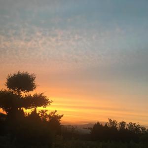 Baby ，До свидания 试录版（Cover 朴树）