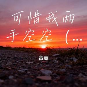 可惜我两手空空 (x1.1)