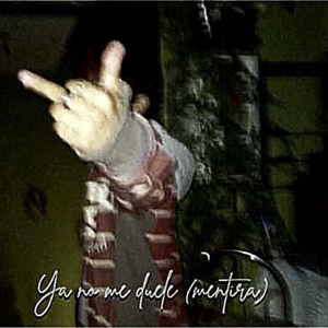 Que chingados me falto??