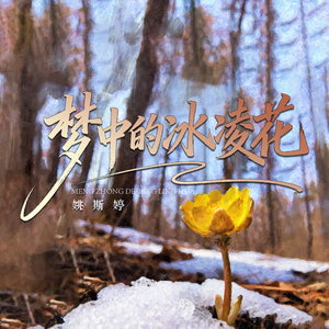 梦中的冰凌花（粤语版）