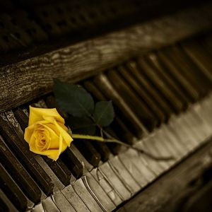 Only Piano With My Tear