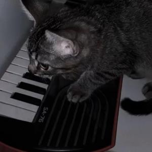 OCCHI ROSSI (feat. Roxas) (Acoustic)