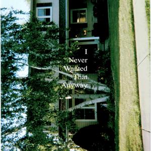 I Never Wanted That Anyway