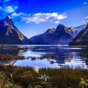 风的记忆 (古筝)