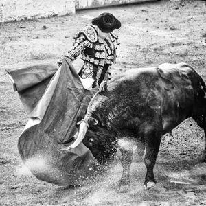 Torero