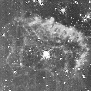 Bathed in the Light of Pistol Star