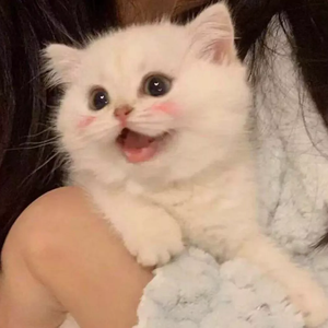 sleepyhead(抖音热搜版)