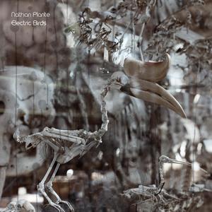 Distorted Reflection