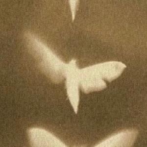 IT'S DEEPER THAN RAP! (feat. TreyTwoTimes)