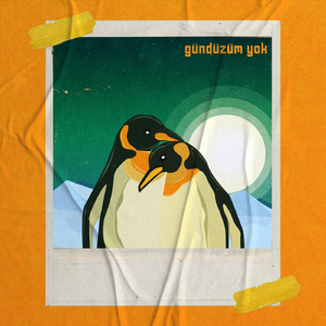 Gündüzüm Yok