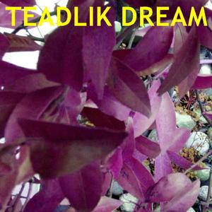 Teadlik dream