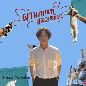 ผ่านเกณฑ์แมวเหมียว