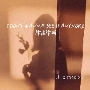 I don't wanna see u anymore（降调）(小zouzou remix)