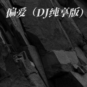 偏爱 (DJ纯享版)