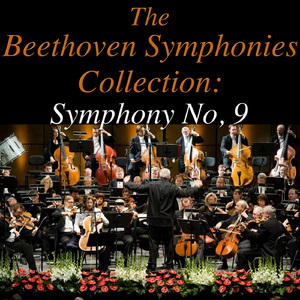 Symphony No. 9 In D Minor, Op. 125: Presto