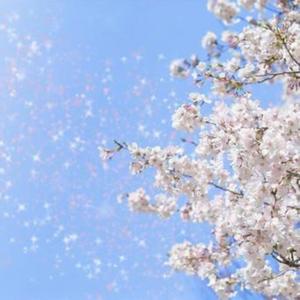 君のこと…（改訂版）