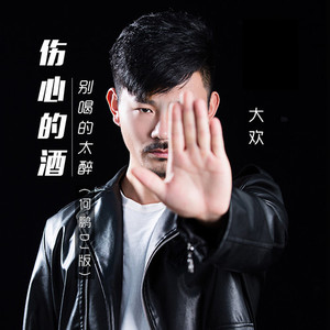 伤心的酒别喝的太醉 (DJ何鹏版)