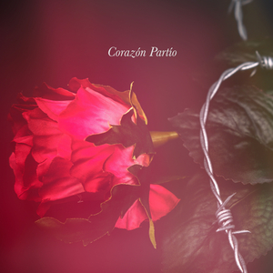 Corazón Partió