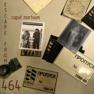 Torpor