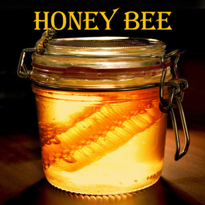 Honey Bee
