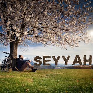 Seyyah