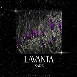 Lavanta