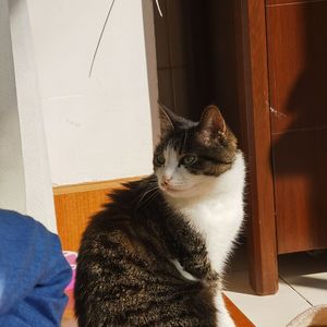 Four-Three-Two（Full-version）