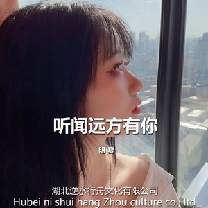 奔扑星空（DJ版）