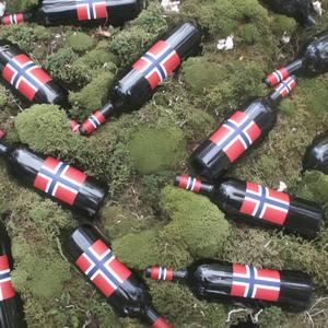 jag vet du er inte min (Jeg vet du ikke er min Norwegian)