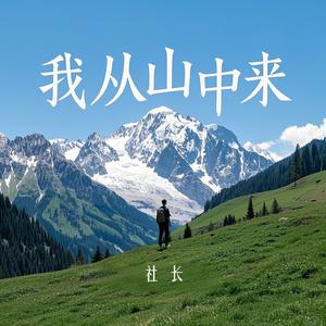 我从山中来 (DJ烟嗓版)
