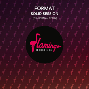 Solid Session (Funkerman Extended Remix)